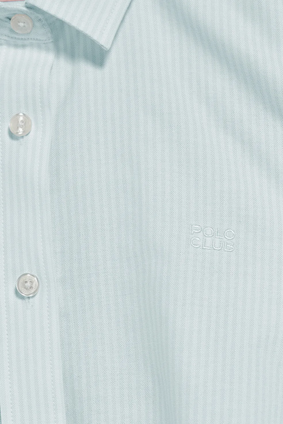Camisa a rayas color aguamarina con logo bordado