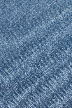 Camisa denim regular fit con logo Rigby Go
