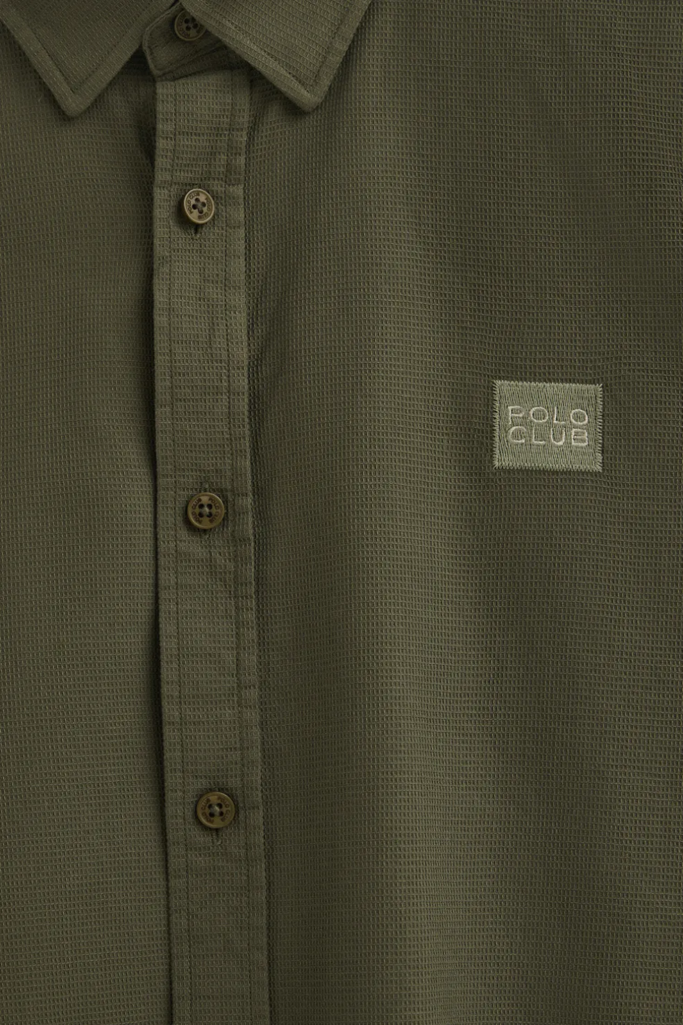 Camisa verde oliva de corte regular cuello con botones y logo Polo Club