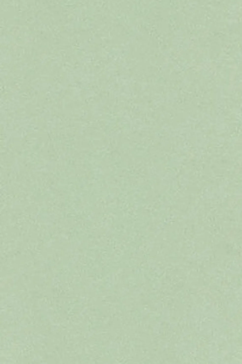 Camiseta básica color menta con logo engomado Polo Club