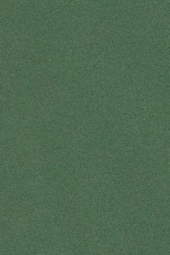 Camiseta básica de manga larga verde con logo Rigby Go