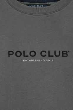 Camiseta gris asfalto de cuello redondo y logo engomado