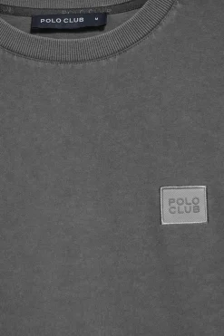 Camiseta gris asfalto garment dye con logo engomado Polo Club