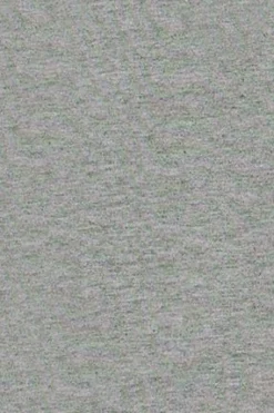 Camiseta gris vigoré con cuello redondo y bordado Rigby Go