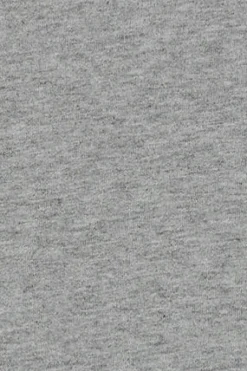 Camiseta gris vigoré de cuello redondo con bordado Rigby Go