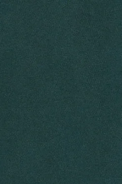 Camiseta verde esmeralda garment dye con detalle Polo Club