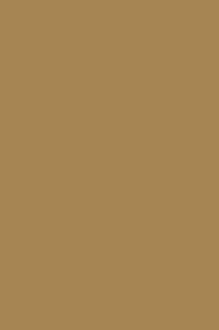 Chancla bio camel para mujer con hebillas