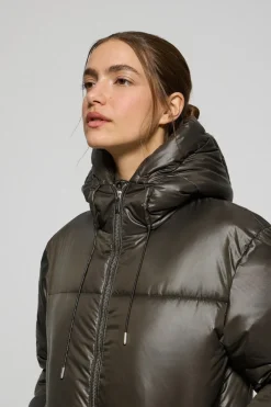 Chaqueta verde corta acolchada Sidney con detalles Polo Club