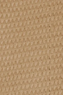 Cinturón Brahim camel canvas con hebilla logotipada