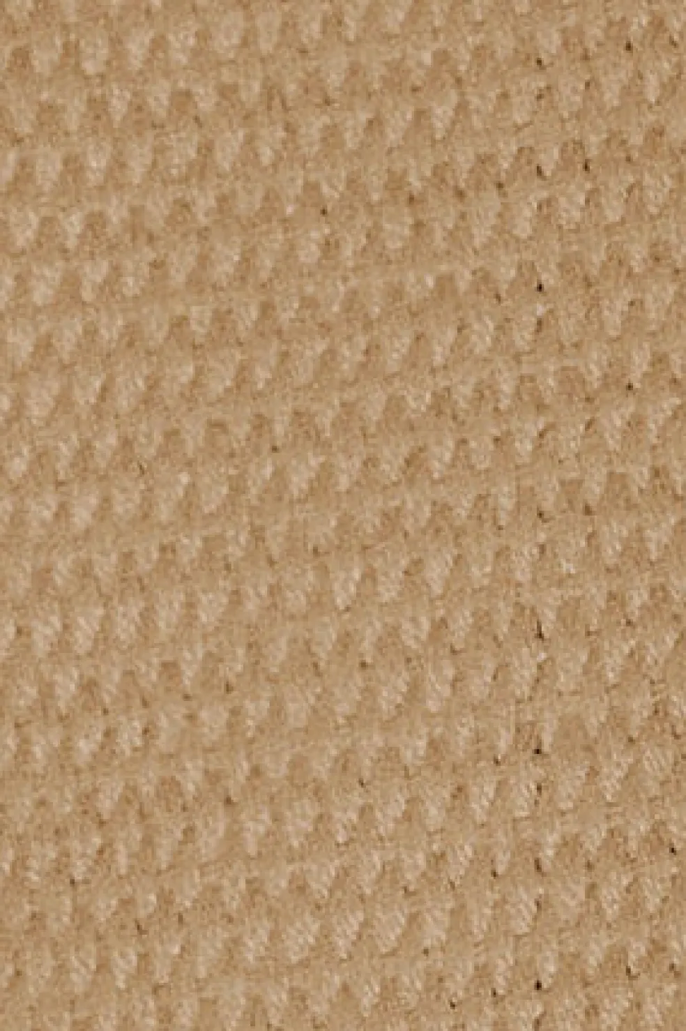 Cinturón Brahim camel canvas con hebilla logotipada