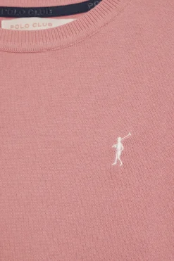 Jersey rosa empolvado de punto con cuello redondo de manga corta y bordado Rigby Go