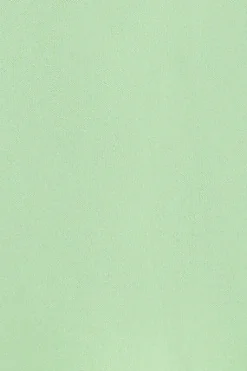 Polo color menta de manga corta de algodón y bordado Rigby Best