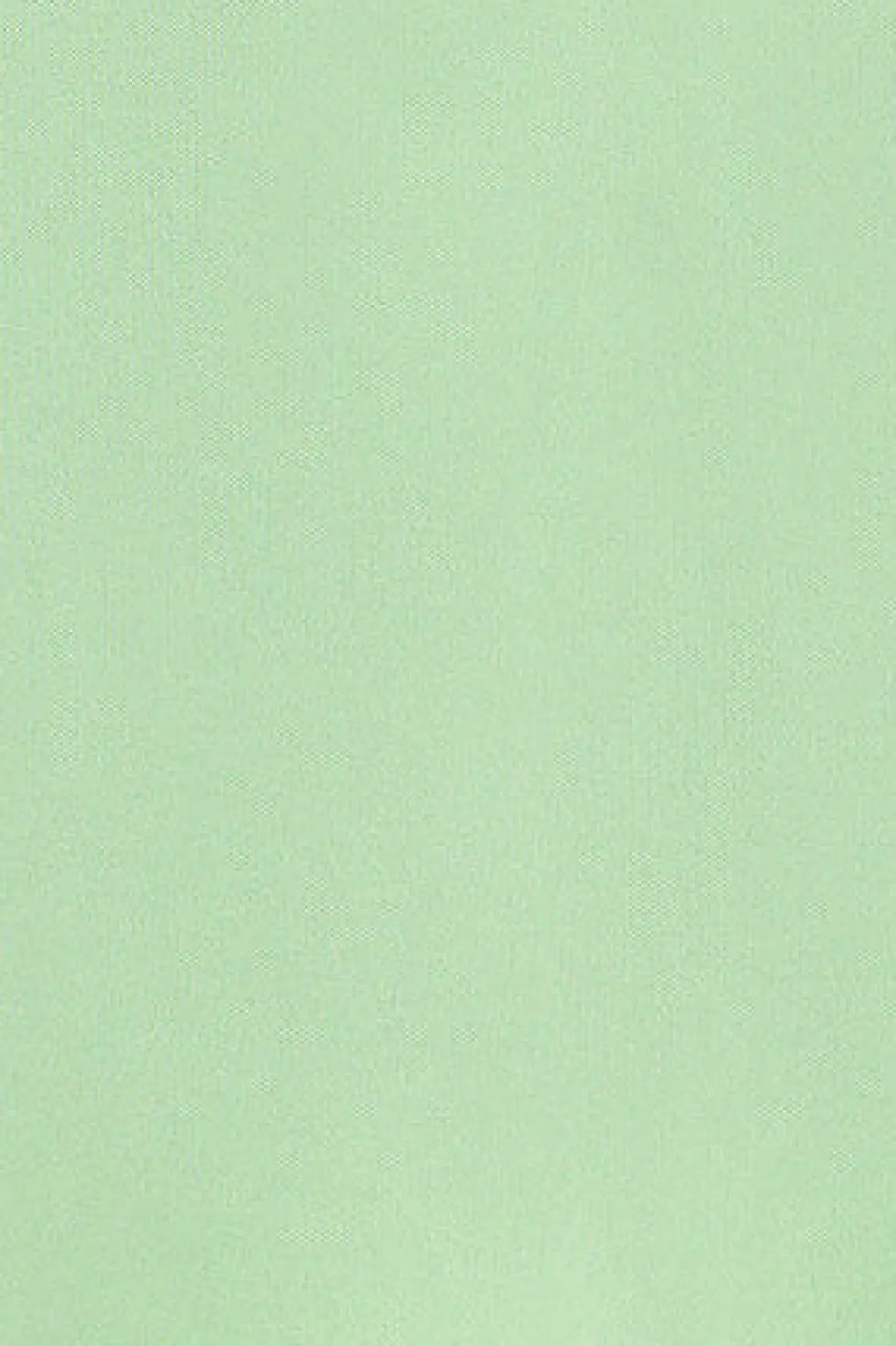 Polo color menta de manga corta de algodón y bordado Rigby Best