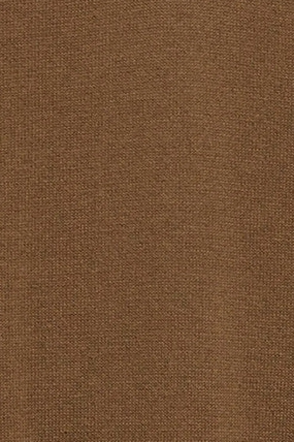Polo color moca de punto con botones y bordado Rigby Go