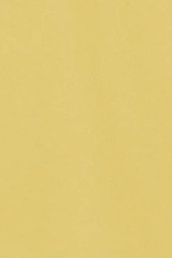Polo Pereira amarillo suave lodo de cinco botones con bordado Rigby Go
