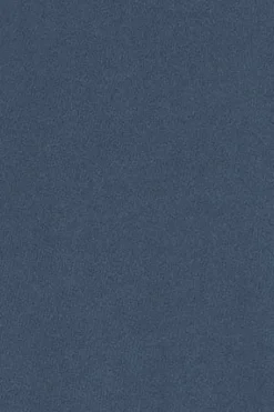 Sudadera azul denim de corte relajado con logo Rigby Go