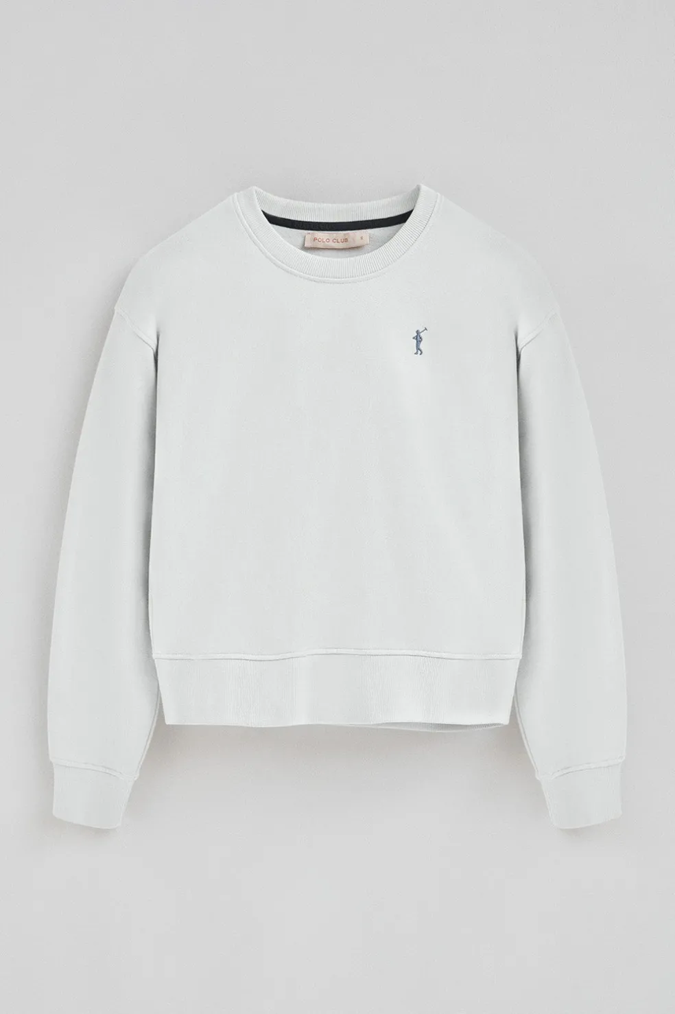 Sudadera color hielo de corte boxy con logo Rigby Go