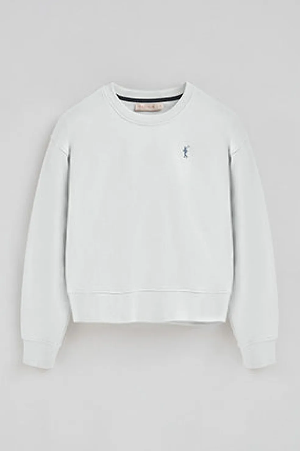 Sudadera color hielo de corte boxy con logo Rigby Go