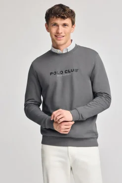 Sudadera gris asfalto regular de cuello redondo y print engomado