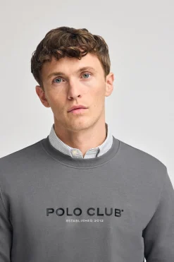 Sudadera gris asfalto regular de cuello redondo y print engomado