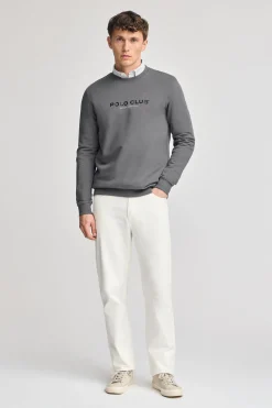 Sudadera gris asfalto regular de cuello redondo y print engomado
