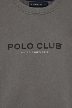 Sudadera gris asfalto regular de cuello redondo y print engomado