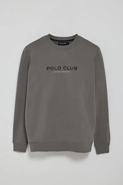 Sudadera gris asfalto regular de cuello redondo y print engomado