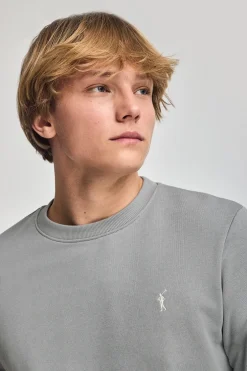 Sudadera gris relax de cuello redondo y bordado Rigby Go