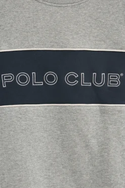 Sudadera gris vigoré de corte boxy y logo Polo Club