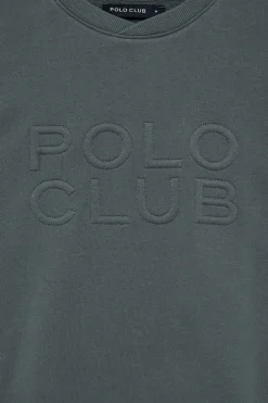 Sudadera holgada Iconic gris con logo en relieve