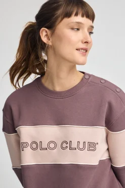 Sudadera rosa taupe de corte boxy y logo Polo Club