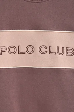 Sudadera rosa taupe de corte boxy y logo Polo Club