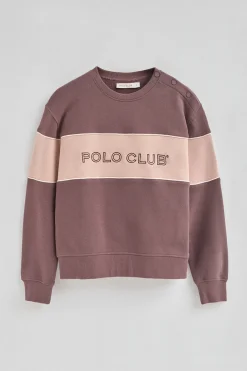 Sudadera rosa taupe de corte boxy y logo Polo Club