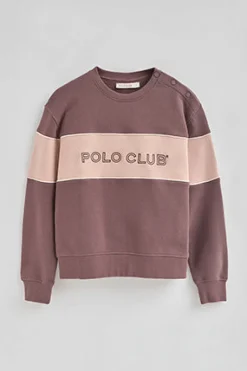 Sudadera rosa taupe de corte boxy y logo Polo Club