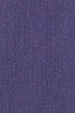 Sudadera violeta azulado regular de cuello redondo y print engomado
