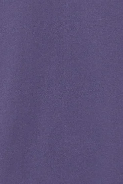Sudadera violeta azulado con logo frontal engomado Polo Club